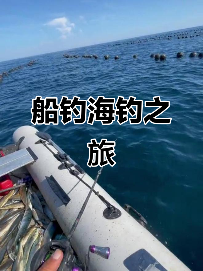 海钓路亚钓(海钓路亚钓鱼最佳钓组)