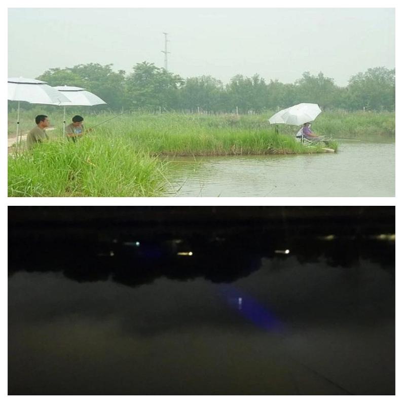 海竿河里夜钓技巧(海竿夜钓用什么钓法)