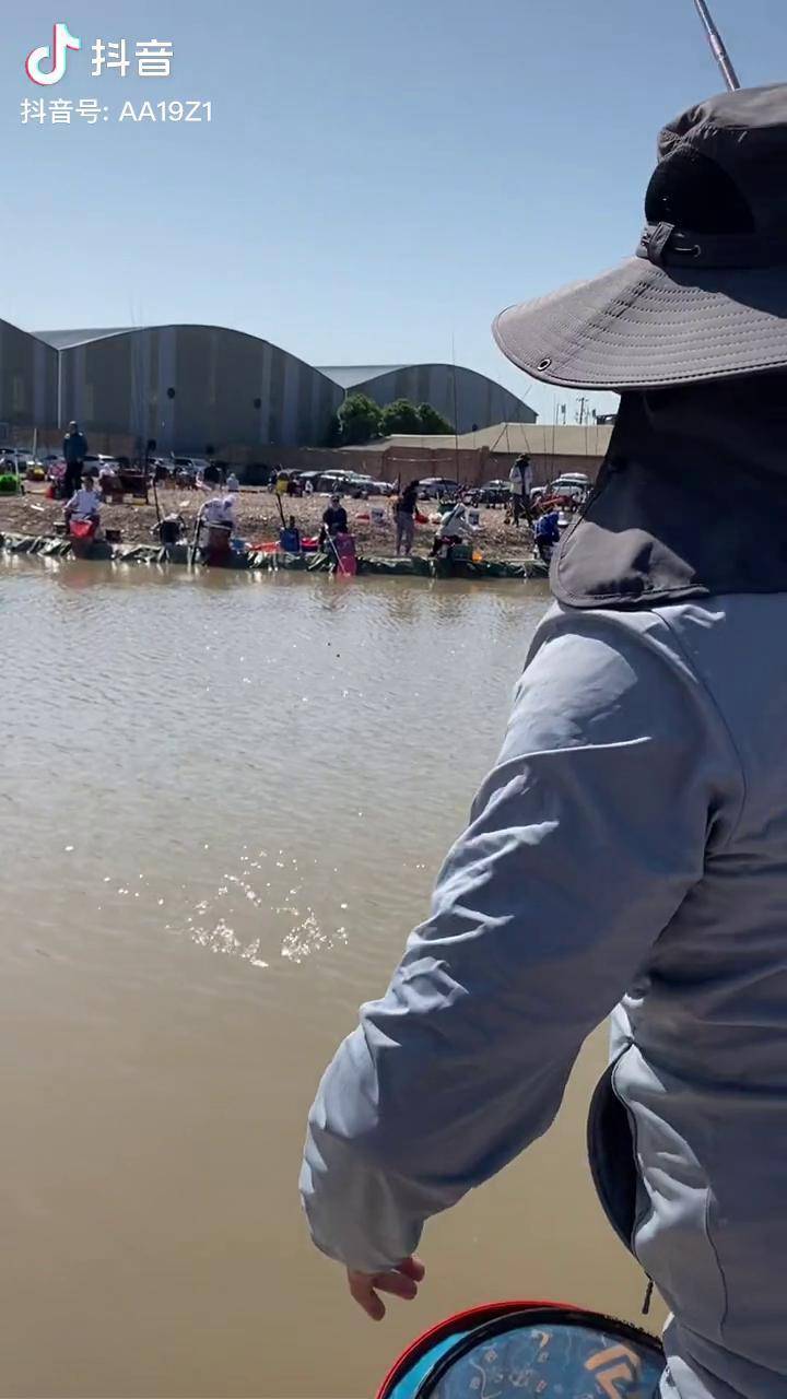 江苏太仓黑坑经营技巧(最新黑坑经营模式)