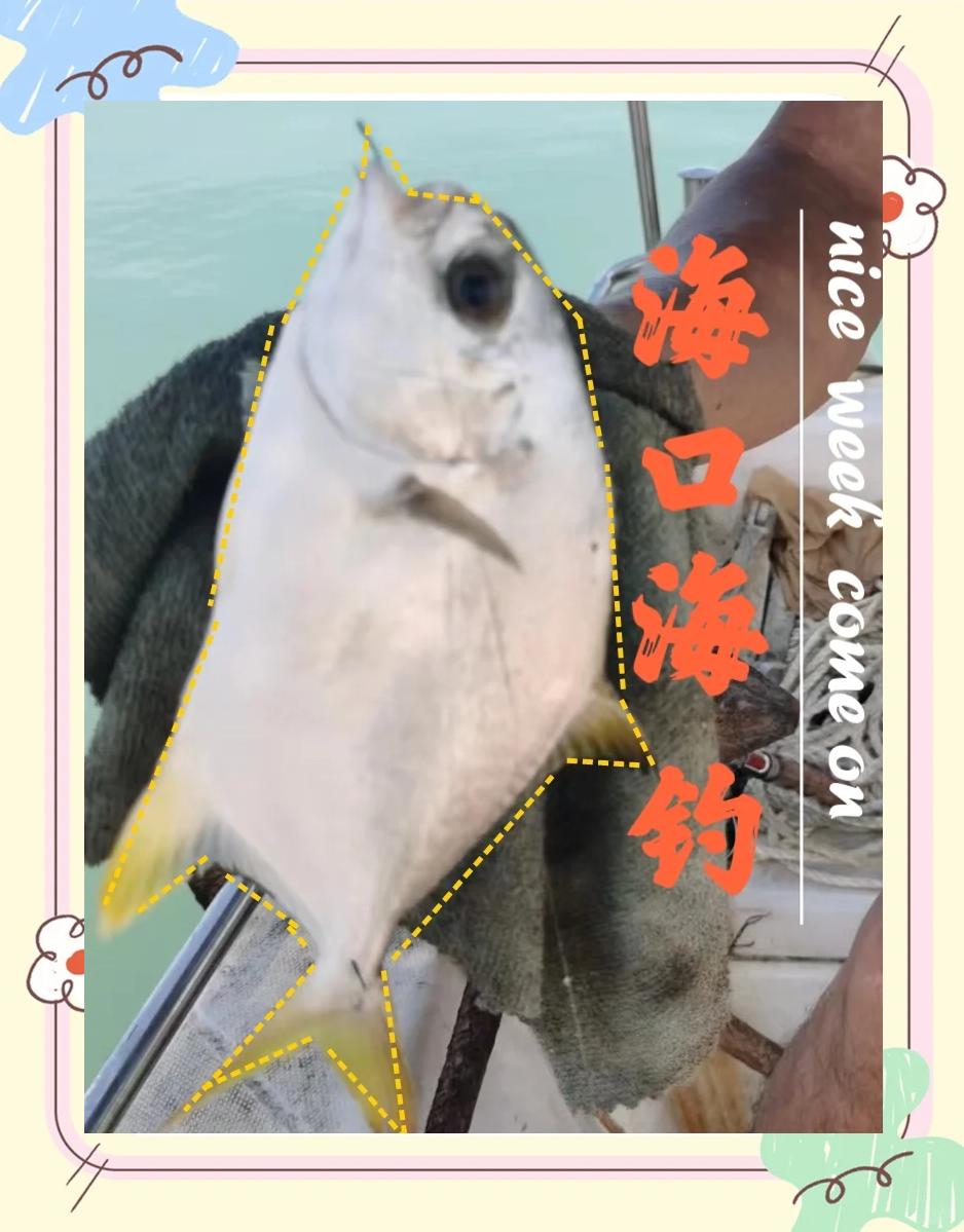 海口租船海钓(海口租船出海钓鱼价格)