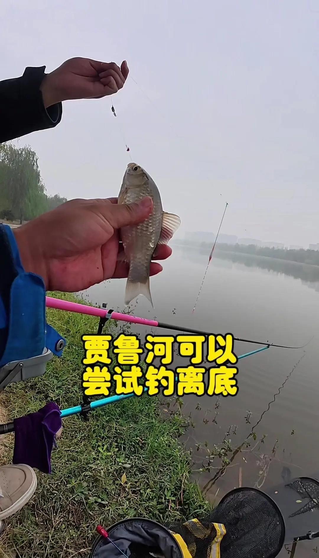 运河里钓鱼技巧(运河里钓鱼技巧和注意事项四个字)