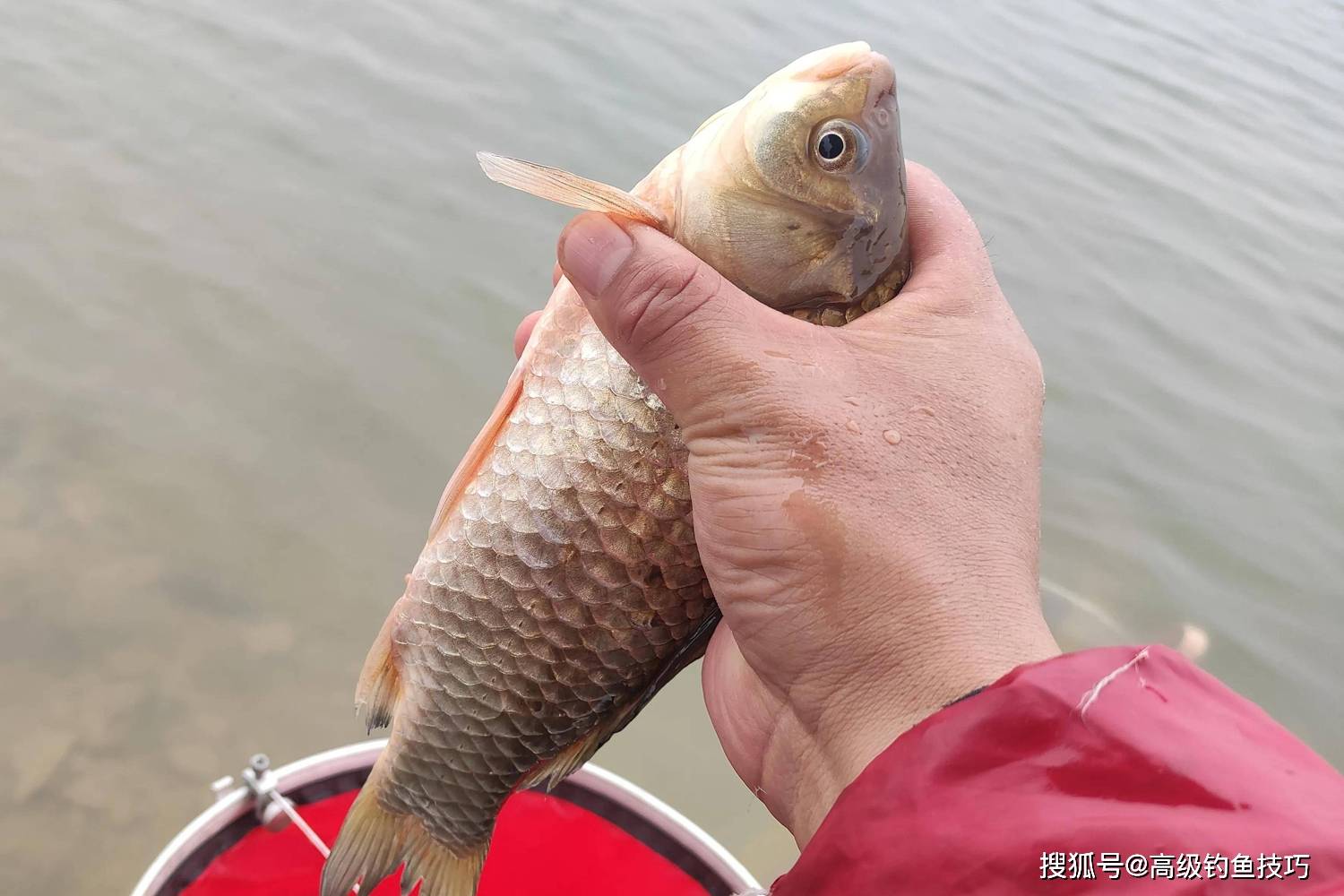 海钓竿冬季钓鱼视频(冬季野钓海竿)