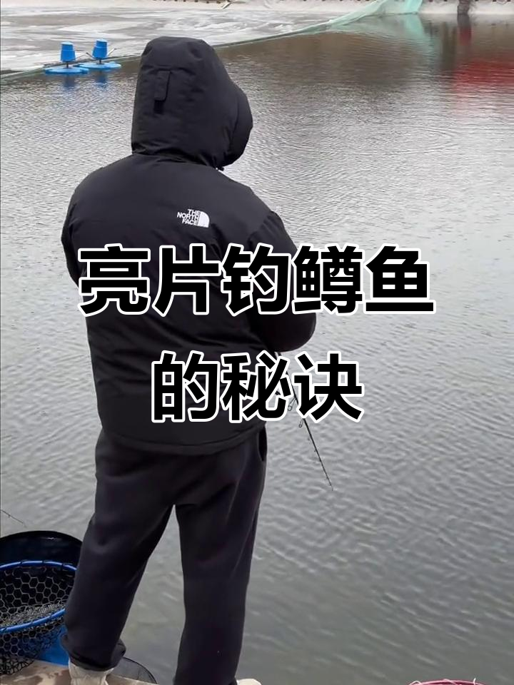 打亮片技巧(亮片打黑技巧)
