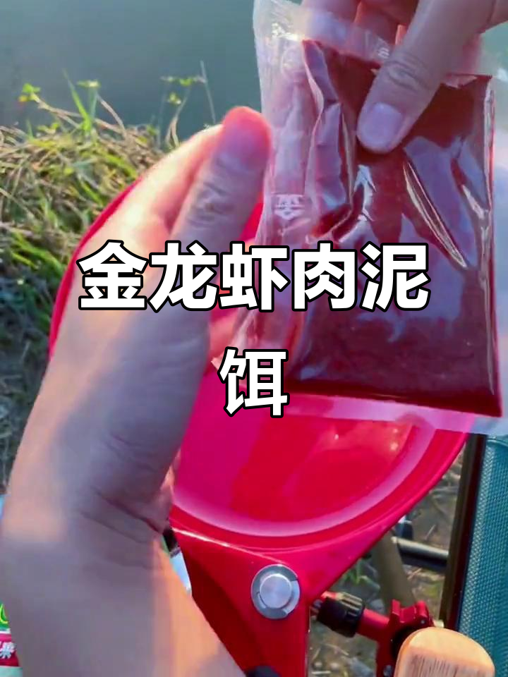 钓鱼金龙饵料配方(金龙饵料怎么搭配)
