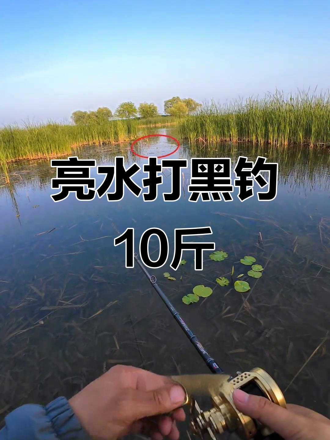 大黑鱼技巧视频高清(大黑鱼怎么打)
