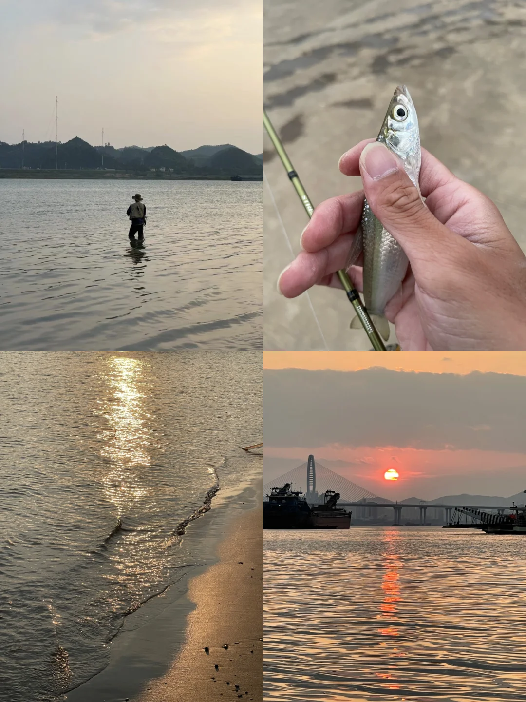 路亚刮东风(路亚有风怎么办)
