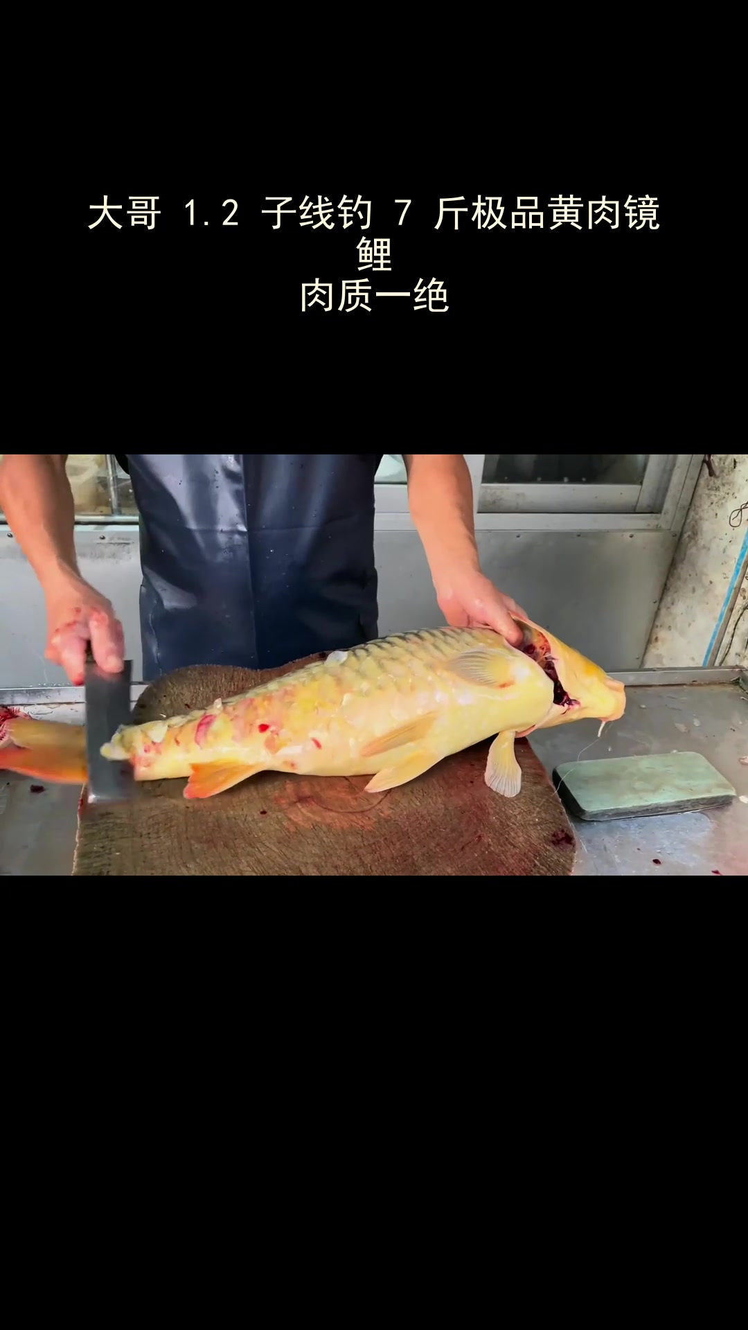 钓镜鲤用什么饵料(钓镜鲤用什么味型饵料)