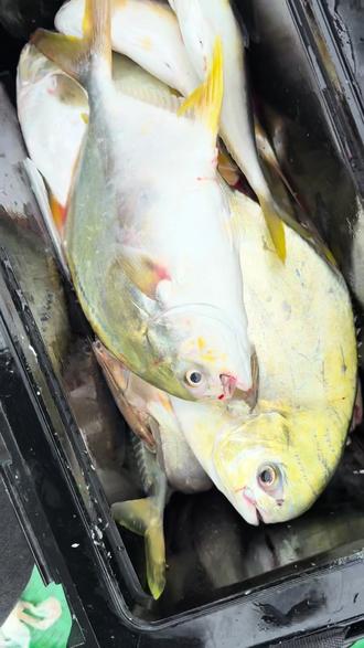 南通海钓群(南通海钓最佳位置)