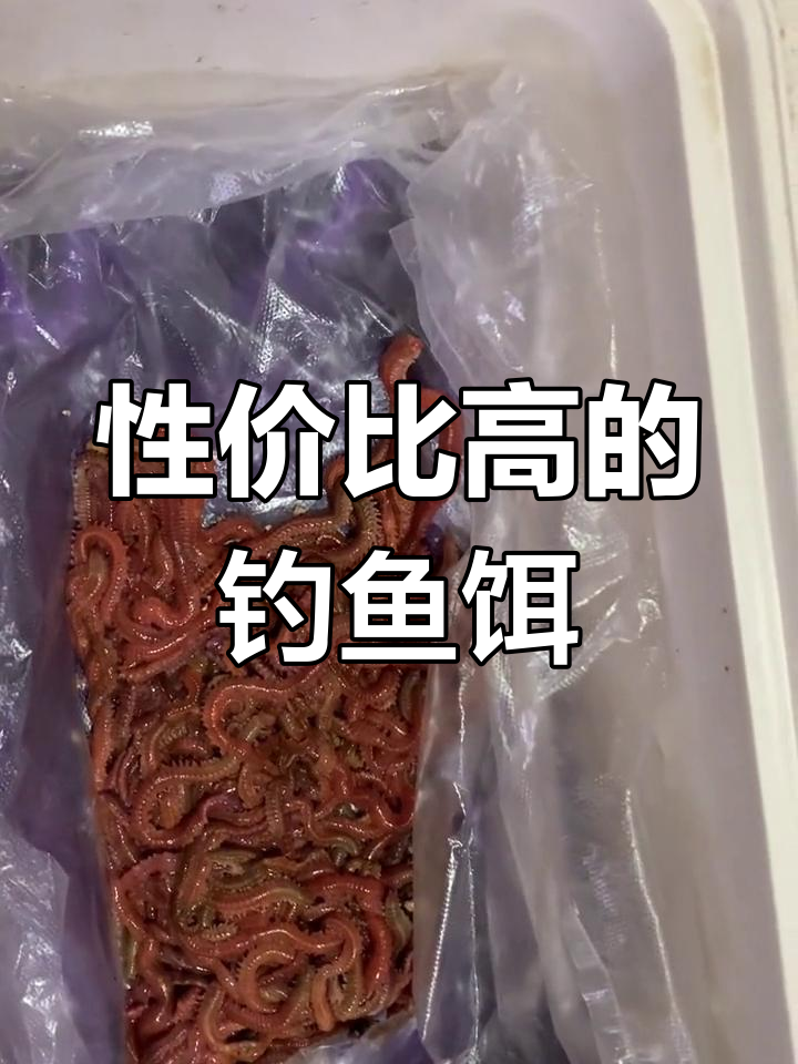 商品饵能海钓吗(商品饵能打窝吗)