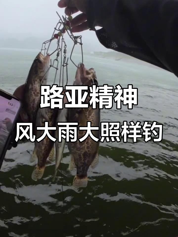 路亚桥钓(路亚竿桥钓)