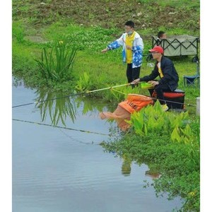 自然池塘钓鱼技巧(自然池塘生态)