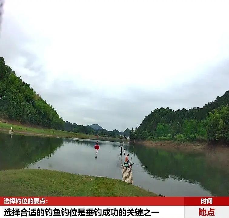 流动河钓鱼小技巧(流动河钓鱼小技巧大全)