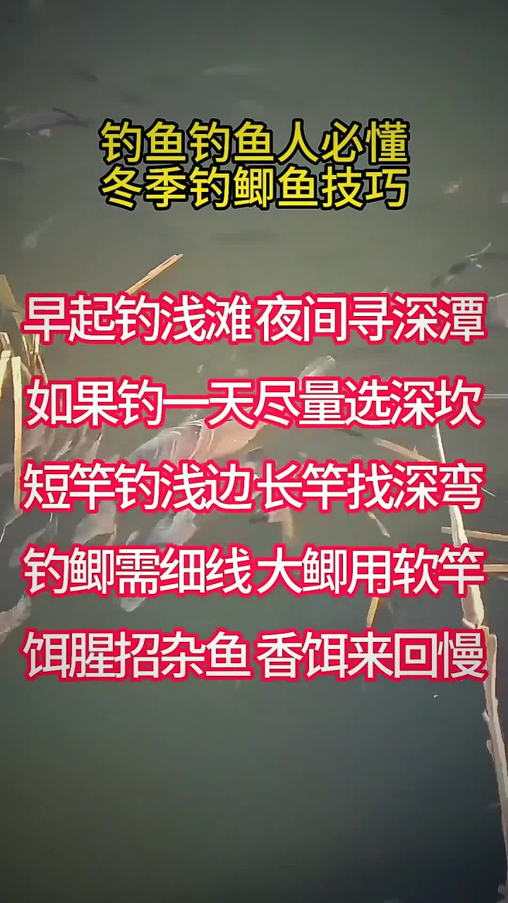 .冰钓鲫鱼技巧(冰钓鲫鱼钓浮还是钓离底)