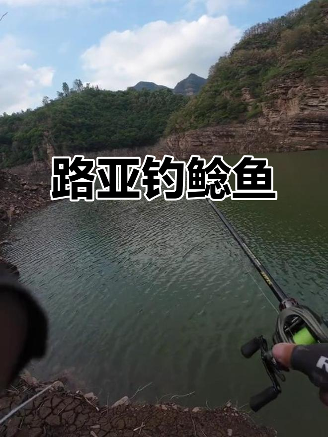 钓海鲶鱼的技巧(海鲶鱼钓法)