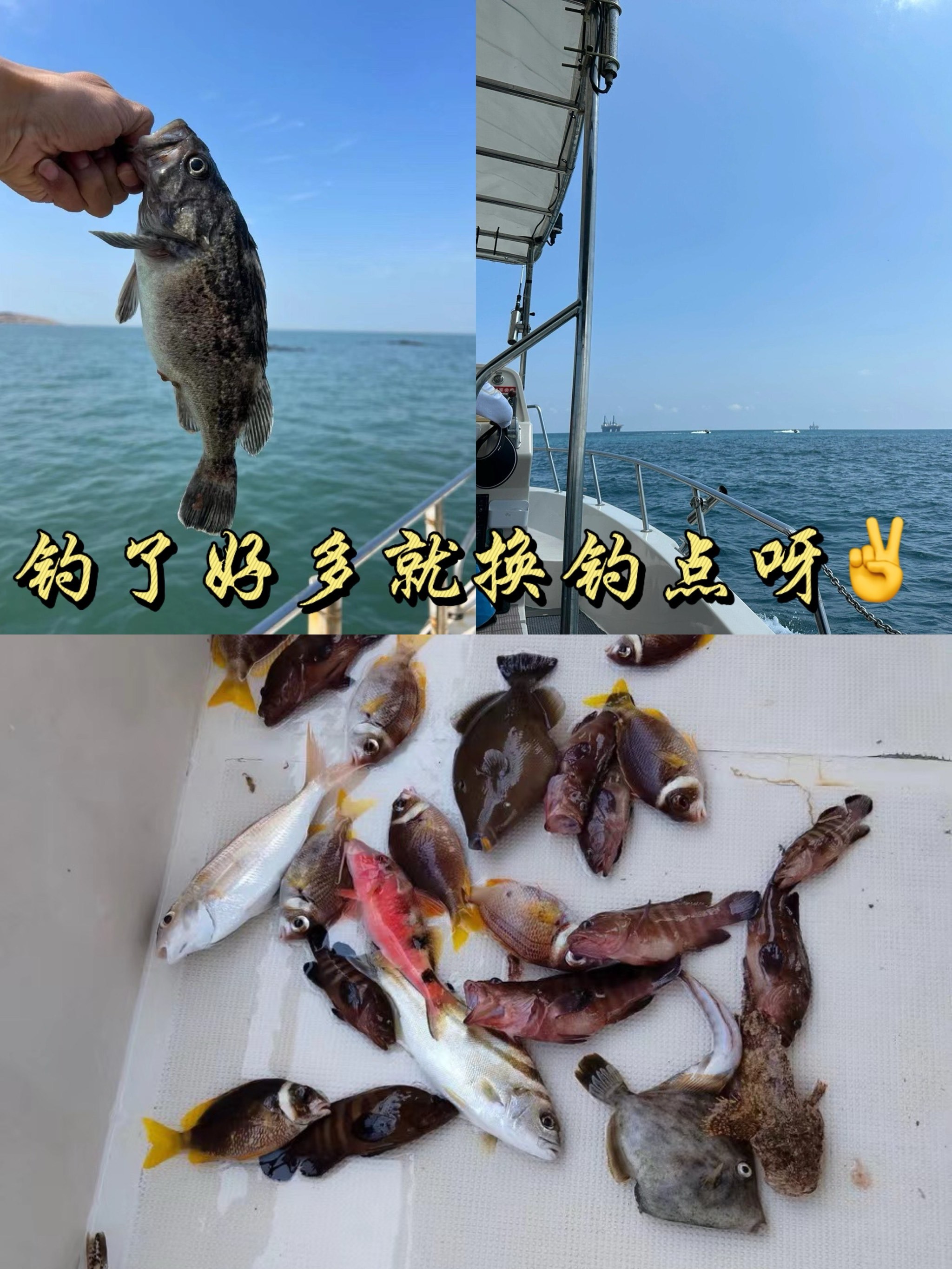 东帆海钓渔业(出海海钓收费价目表)