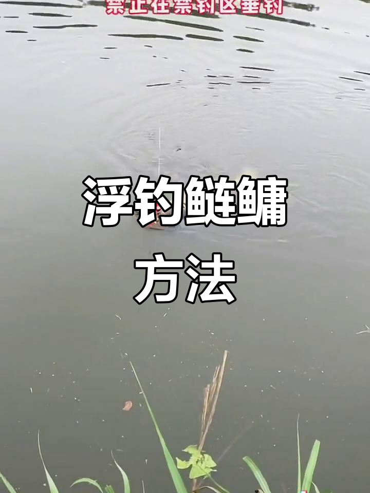 辽河钓鲢鱅技巧(钓鲢鳙必学的5个妙招)