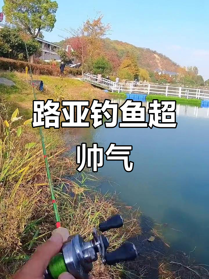 奉贤路亚(奉贤水闸路亚)
