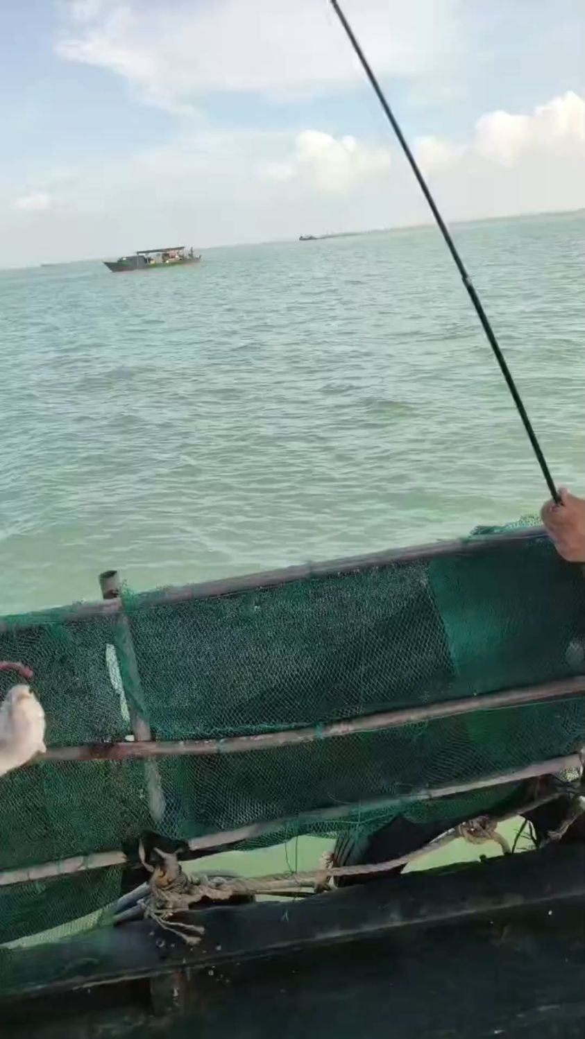 潍坊出海海钓群(出海海钓收费价目表)