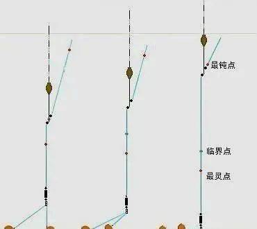 冷天中午钓鱼技巧(冷天中午钓鱼技巧视频)