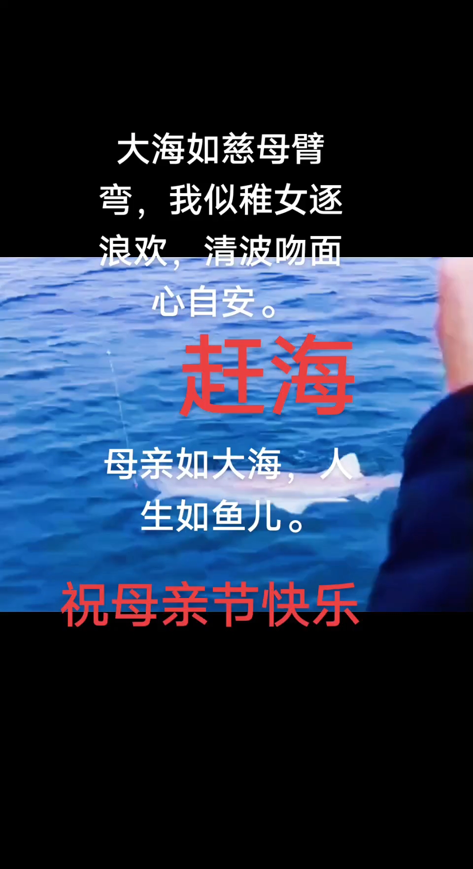 海钓的句子(海钓美文)