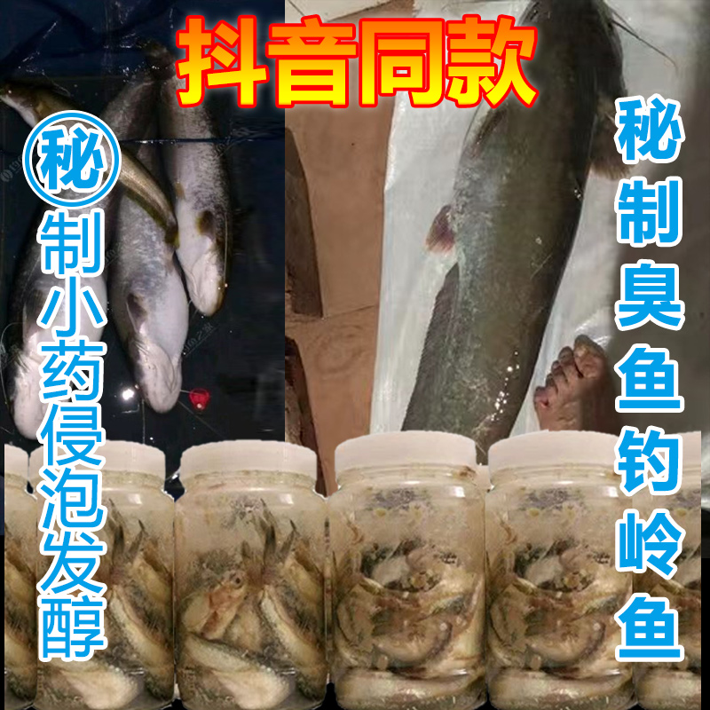 臭饵技巧(臭饵能钓什么鱼)
