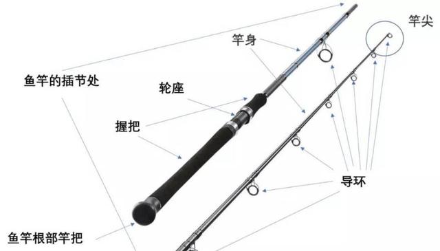 海杆与路亚杆的区别(路亚跟海杆有什么区别?)