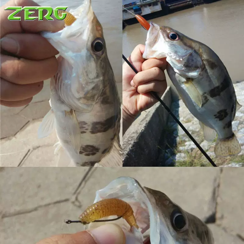 海钓管蛆鱼饵(海蛆鱼饵腌制方法)