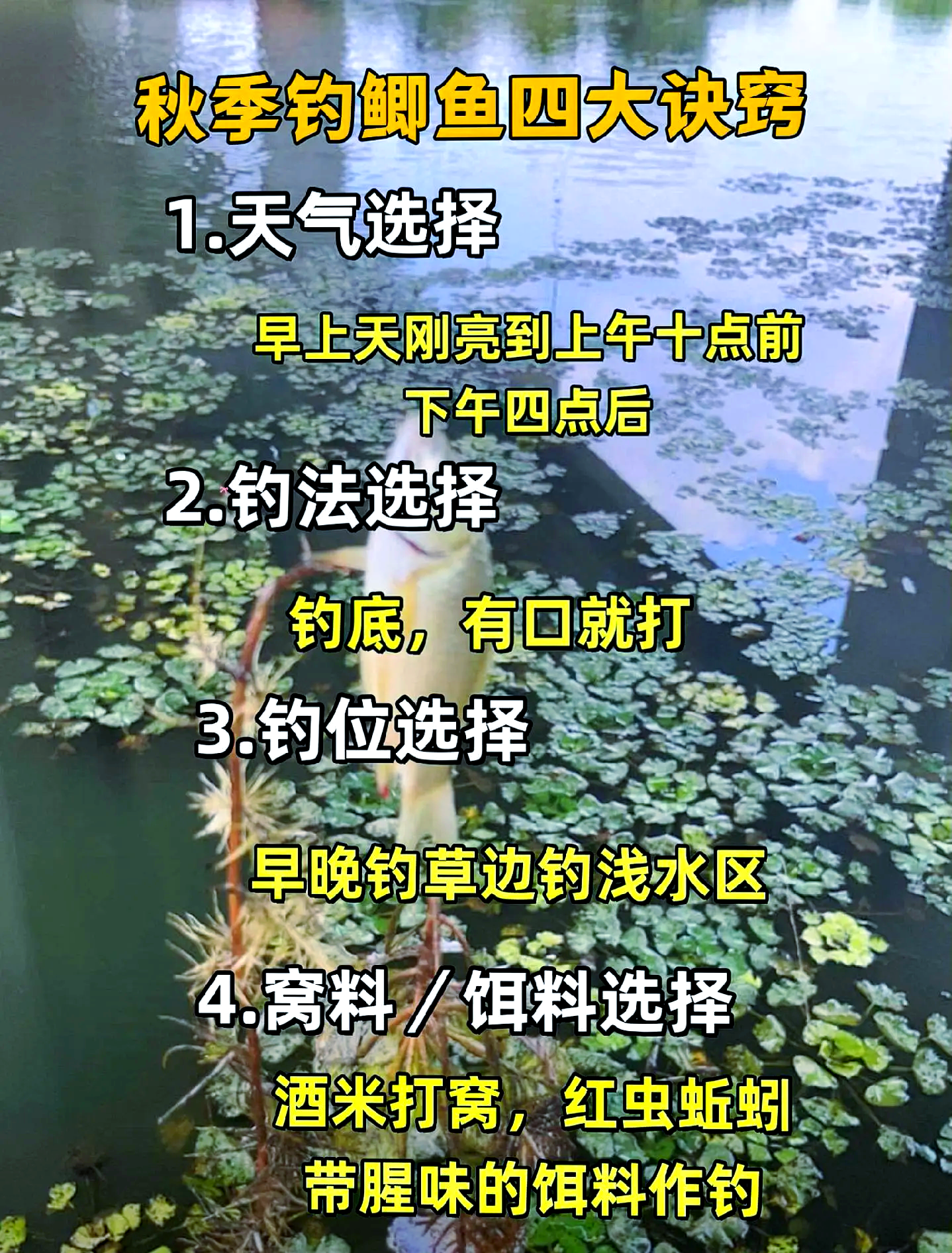 冬季能用饵料钓鱼吗(冬季能不能钓鱼)