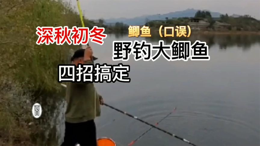 水库深秋钓鲫鱼技巧(深秋钓水库多深合适)