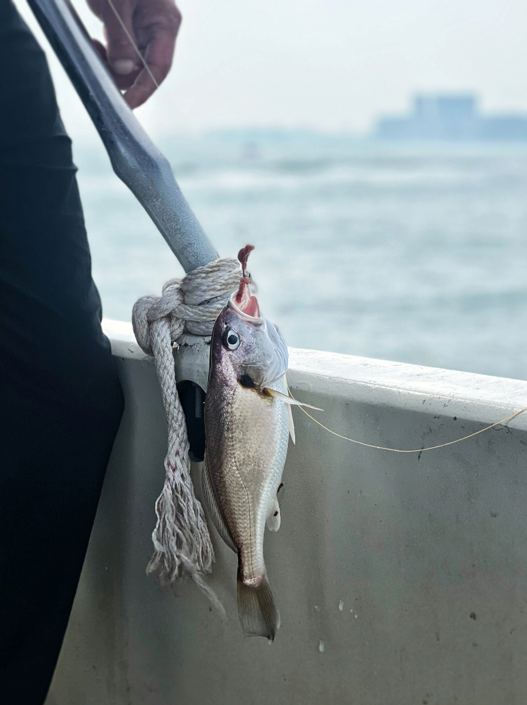 到黄岛海钓(黄岛海钓必去的三个地方)