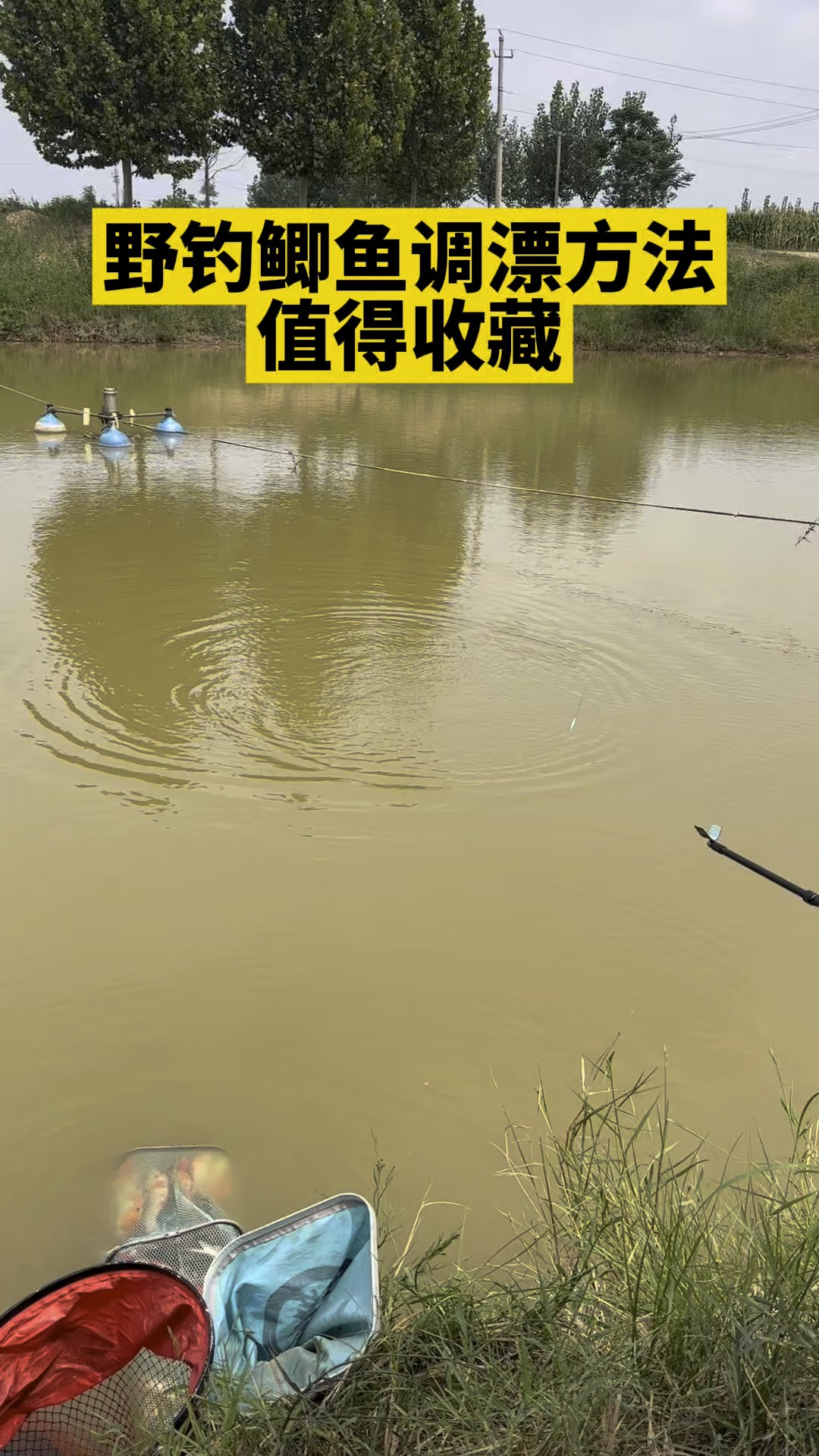 野钓鲫鱼技巧看漂视频(野钓鲫鱼技巧看漂视频教程)