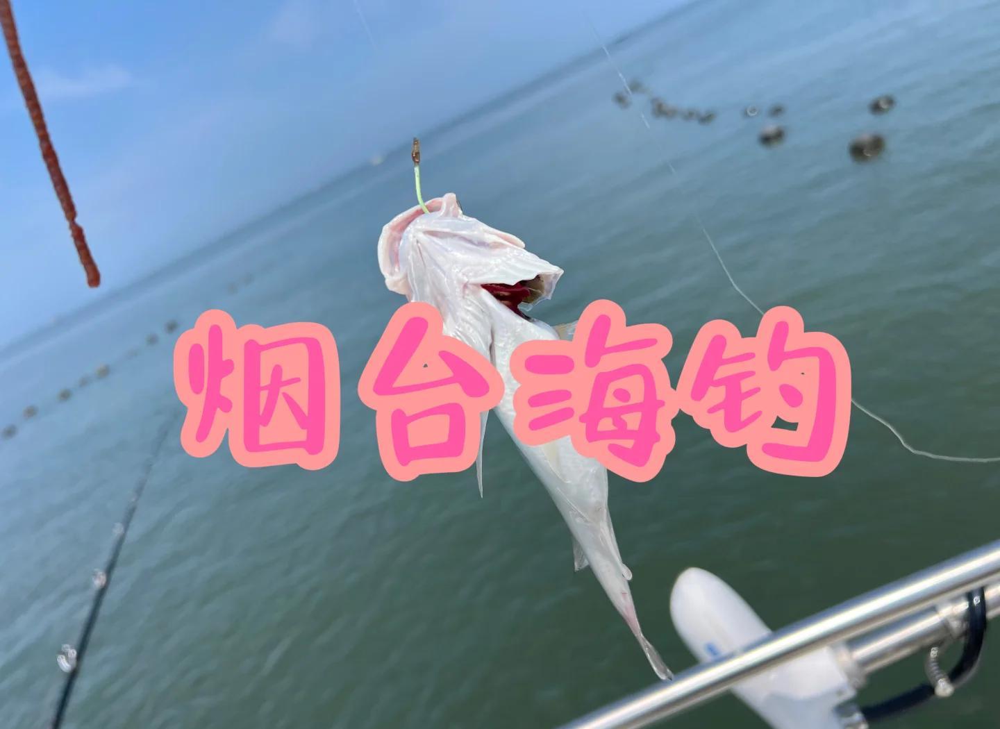 海钓鱼约(海钓的规定)