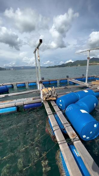 海钓深水鱼排(海钓钓多深水位)