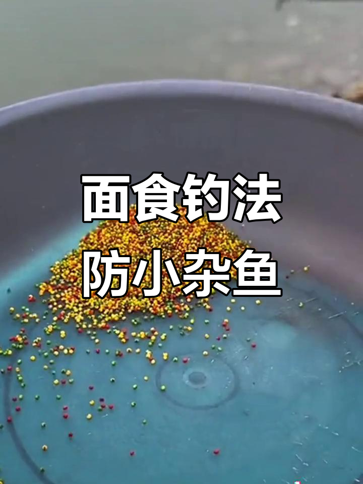 饵料遭小鱼(钓鱼鱼饵被小鱼吃光了)