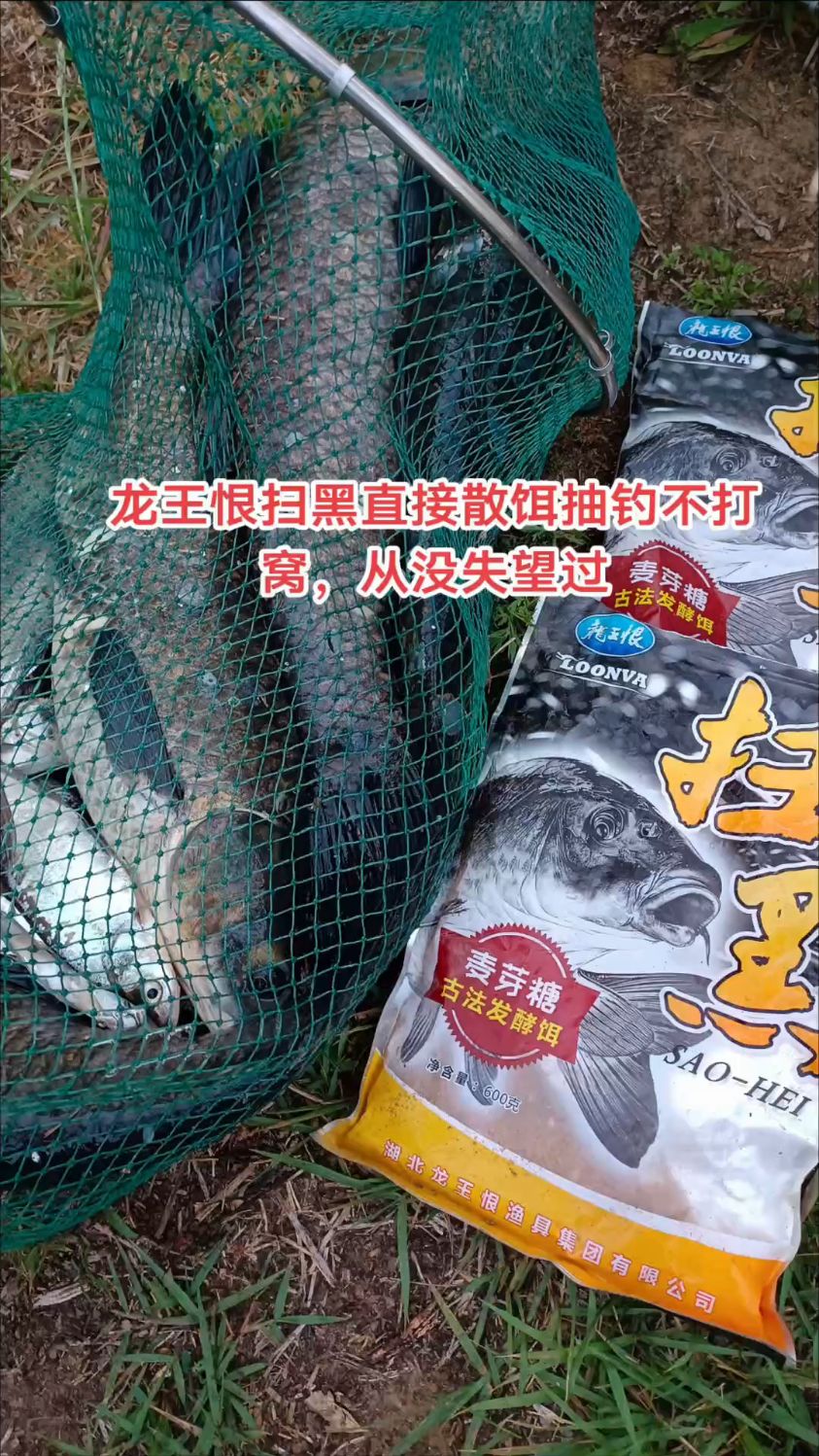 饵料实战理论(饵料视频)