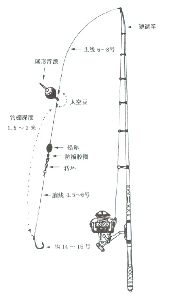 抛杆钓鱼技巧(抛杆钓鱼技巧图解)