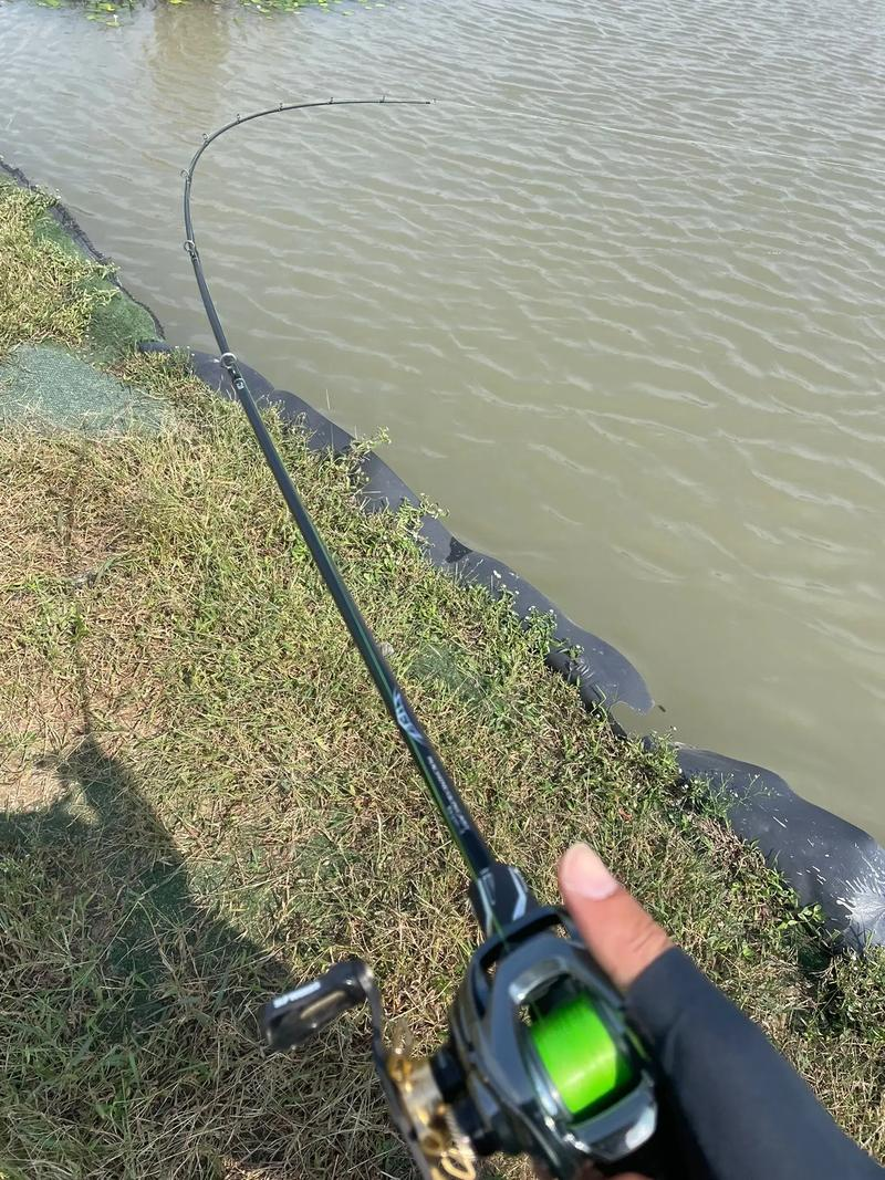 路亚鲶鱼流水技巧(路亚鲶鱼水面系)