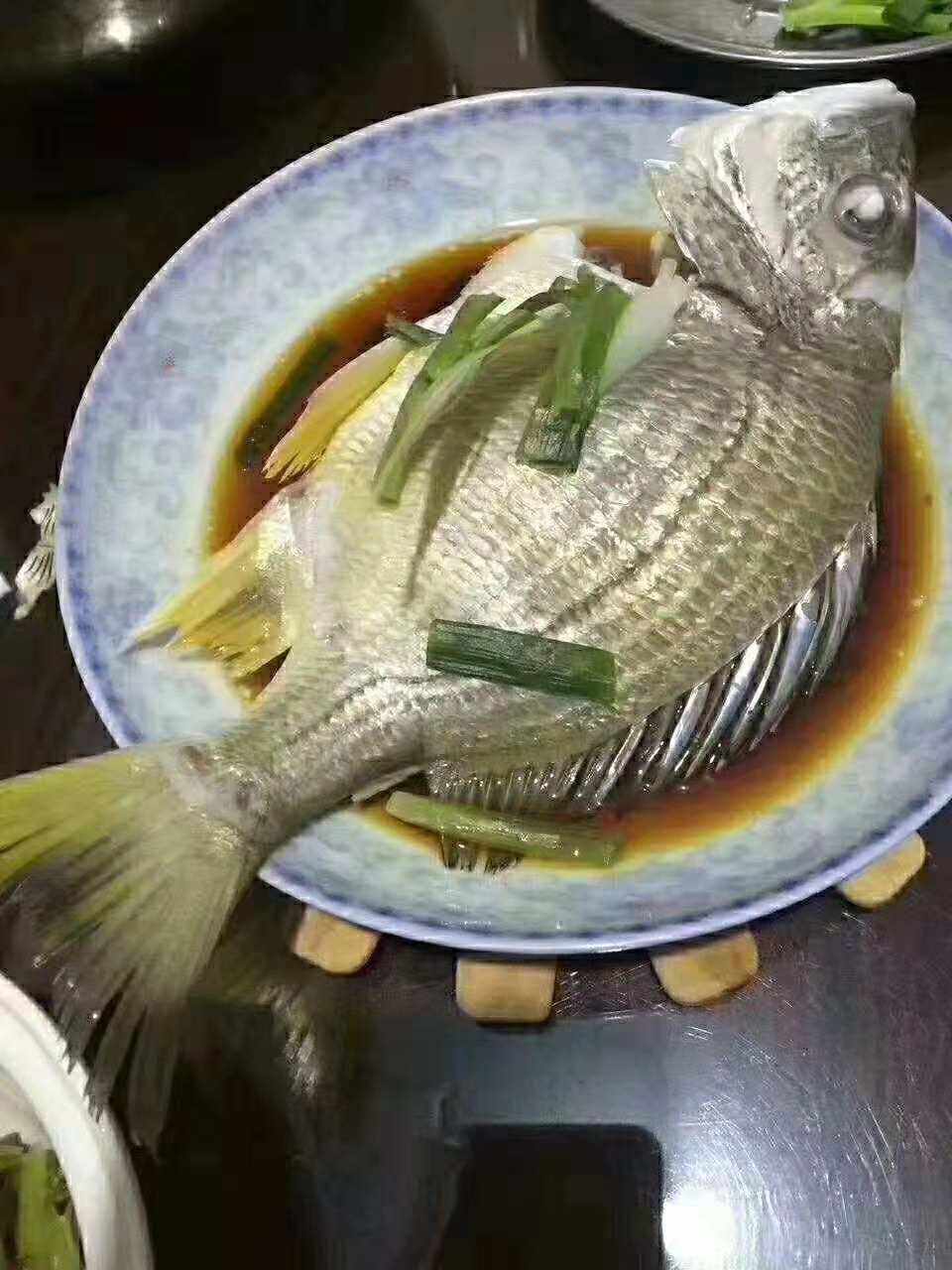 海钓黄鳍鲷秘密(海钓黄鳍鲷的最佳钓法)
