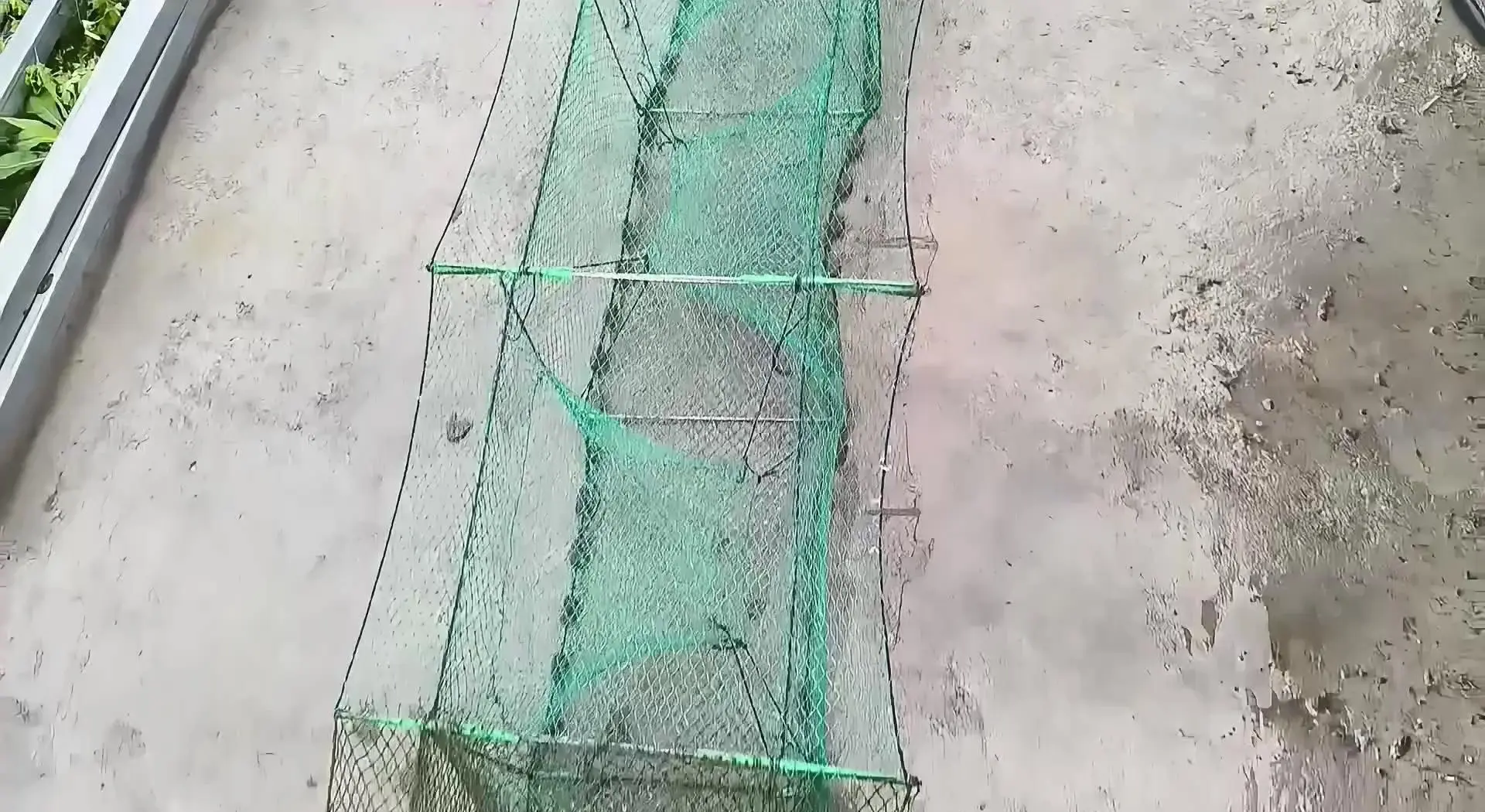 下地笼技巧(下地笼怎么下)