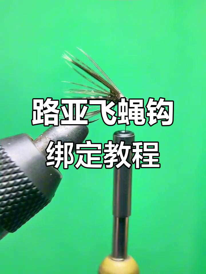 路亚怎么用飞蝇钩(路亚飞蝇钩钓鱼视频)