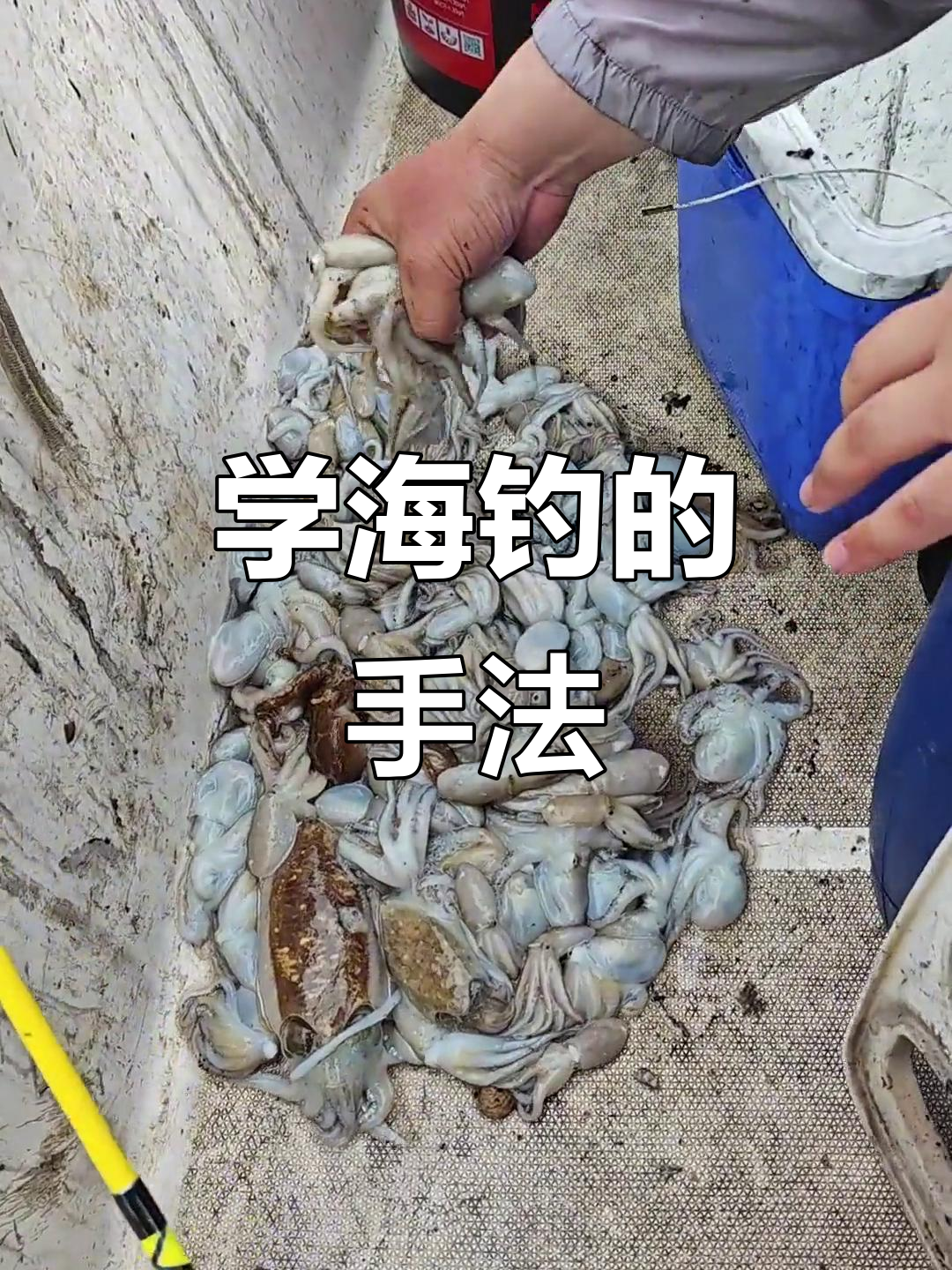 夏季海钓技巧(夏季海钓用什么鱼饵)