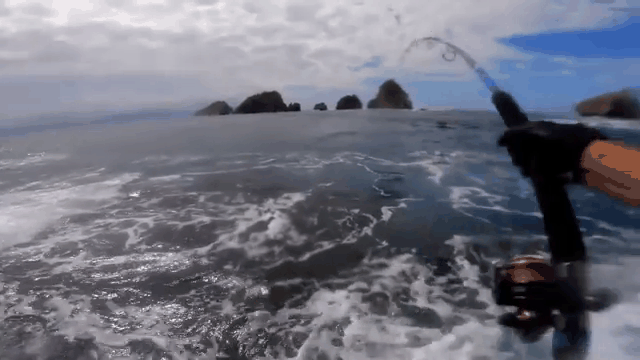 澳洲海钓视频(澳大利亚海钓鱼种类)