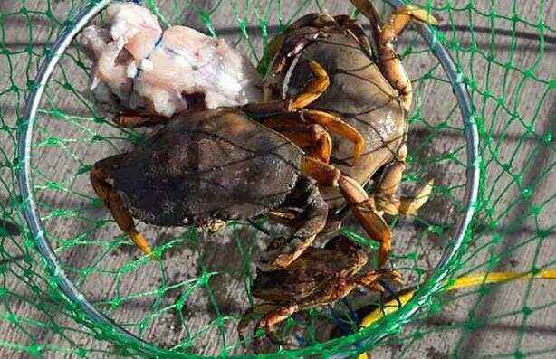 黄岛银沙滩海钓(黄岛银沙滩退潮时间)