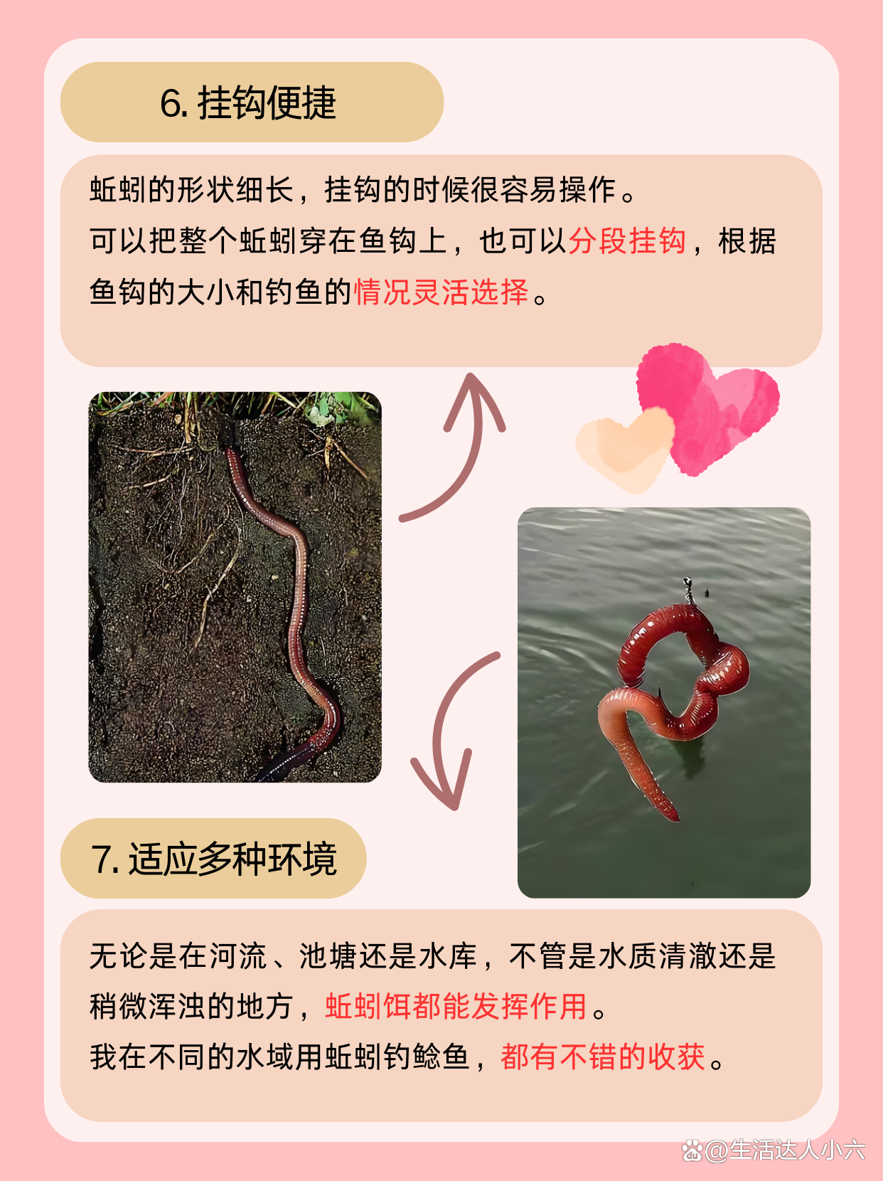 冬钩鲶鱼饵料(冬天在水库钓鲶鱼,用什么饵料最好)