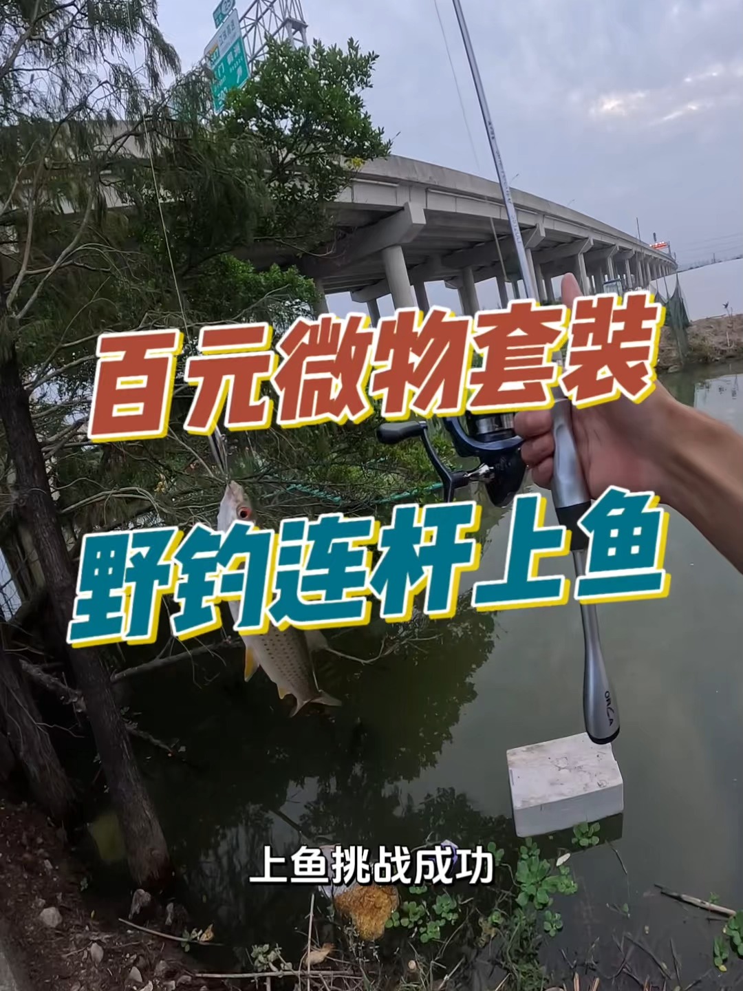 路亚饵价位(路亚钓具价格)
