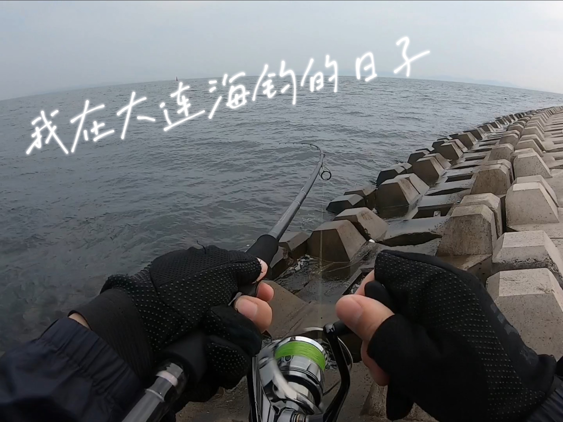 大连东港海钓(大连东港海边)