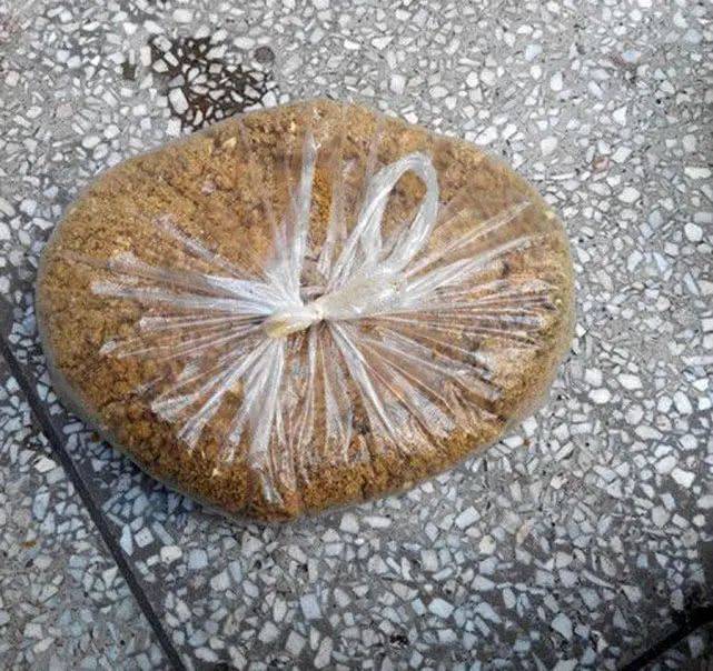 红薯爆炸钩饵料(番薯钓鱼 爆炸钩)