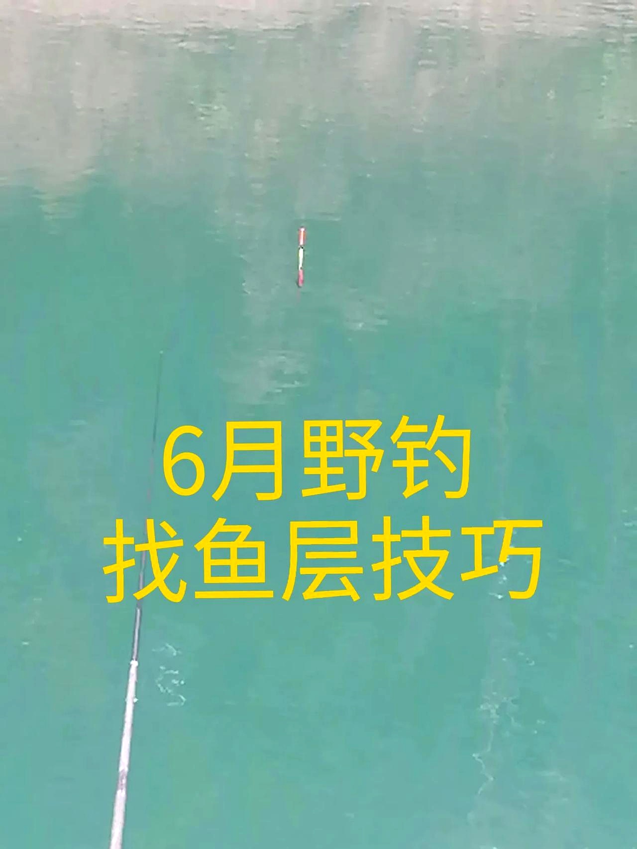 在池塘里面钓鱼技巧(池塘钓鱼的方法和技巧)