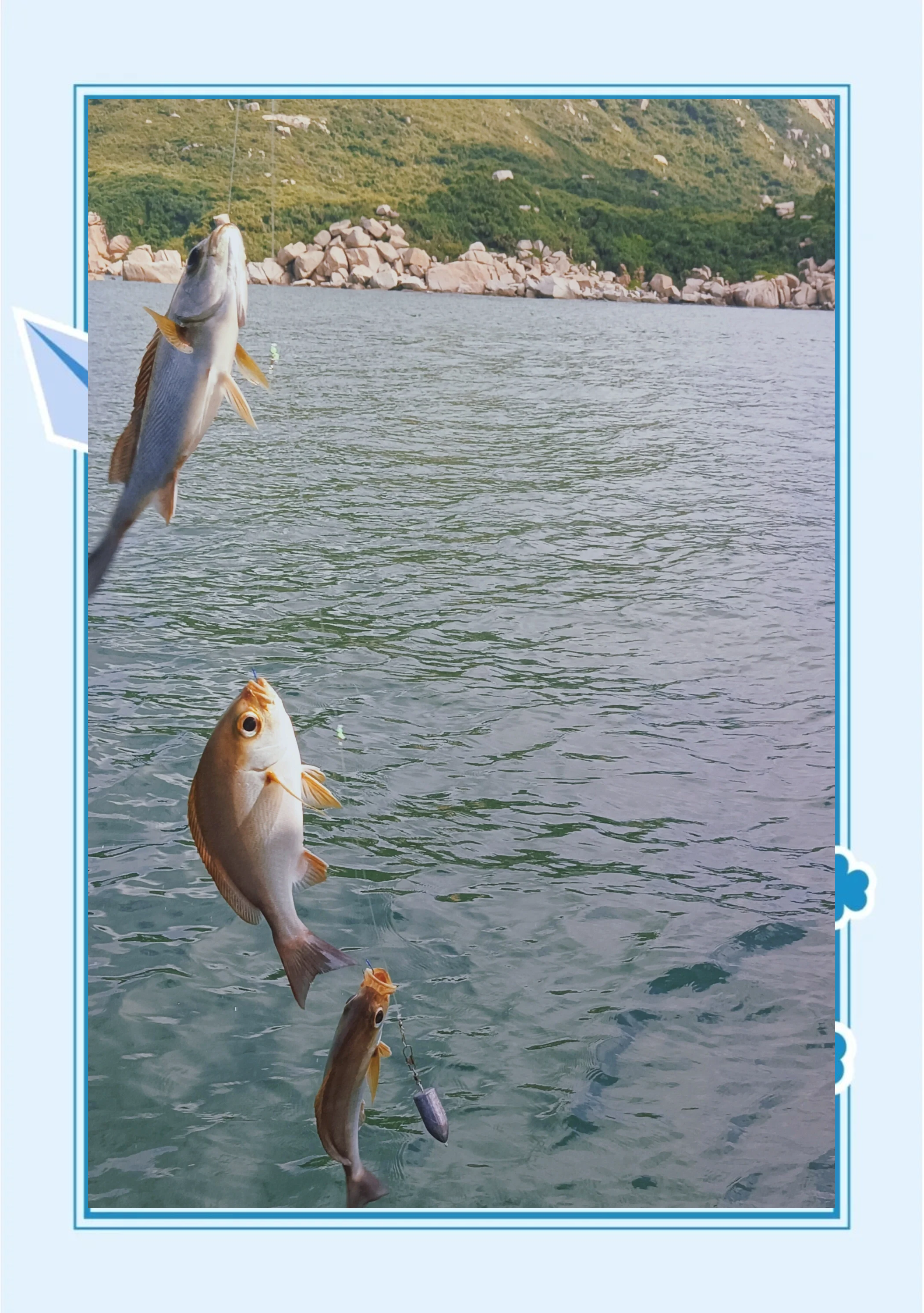 中山海钓塘(中山海钓最佳地方)