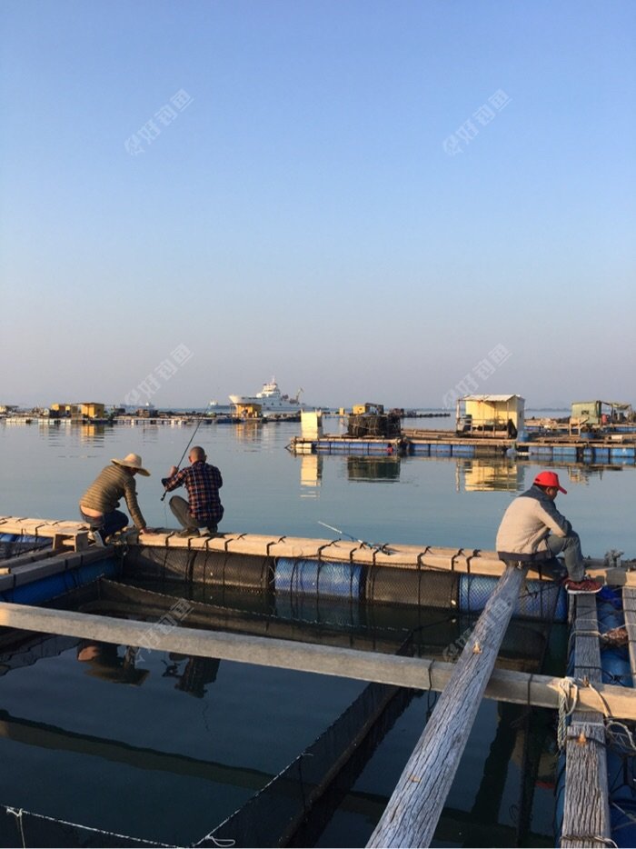 阳江油井海钓(阳江市哪里海边有鱼钓)